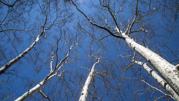 Vremea se schimbă radical. Temperaturi de primăvară în următoarea perioadă. Zonele în care vor fi și 18 grade Celsius
