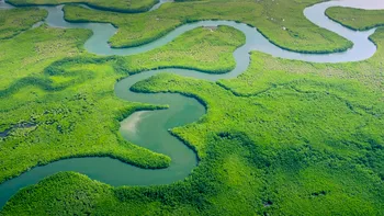 De ce este fluviul Amazon dificil de traversat: Absența podurilor și provocările naturale