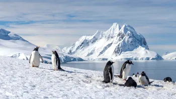 Antarctica intră în linia întâi a crizei climatice: continentul înghețat s-ar putea încălzi mult mai repede decât se credea