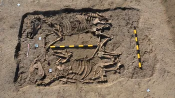 Descoperiri arheologice lângă Arena Sepsi: Morminte preistorice și artefacte din aur în Sfântu Gheorghe