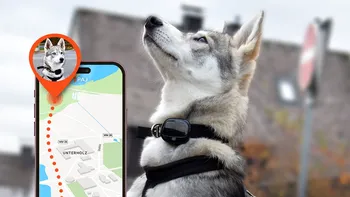 Nu-ți mai pierzi niciodată câinele sau pisica. Un gadget te ajută să-l localizezi prin satelit