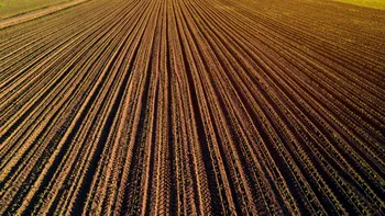 Cât costă să treci un teren agricol în intravilan în 2025. Tarifele valabile până la sfârșitul anului