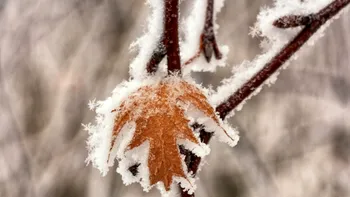 Fenomenul care se întâmplă în România, în ultimii 10 ani. De ce nu mai ninge în decembrie
