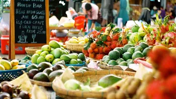 Fructul exotic care a îmbogățit tot mai mulți agricultori români. Un kilogram costă 50 de lei