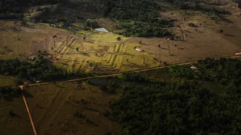 Civilizații pierdute din Amazon, descoperite cu ajutorul tehnologiei moderne. Ce ar avea în comun cu mayașii din Mexic și Guatemala