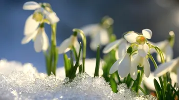 Gerul se instalează în România. ANM, avertisment pentru români: Va fi mai frig decât în mod normal