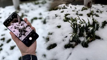 REVIEW Realme 14 Pro+ - dovada că telefonul ieftin și bun există. Face poze grozave, este perfect pentru gaming și nu-ți cade din mână