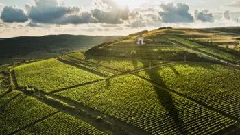 Mica Toscana de România, locul în care te simţi ca în Italia. Viile, dealurile şi clădirile istorice te cuceresc pe loc