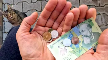 UE nu crede cât de mici sunt salariile în România: 
