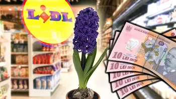 Unde găseşti buchete de flori sub 50 de lei pentru 1 Martie? Românii vor sta la cozi pentru a nu plăti o avere pe micile atenţii