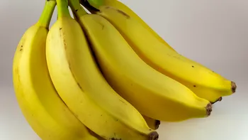 Alimentul care bate bananele. Are o cantitate dublă de potasiu. Sigur îl consumi şi tu, dar mult prea rar