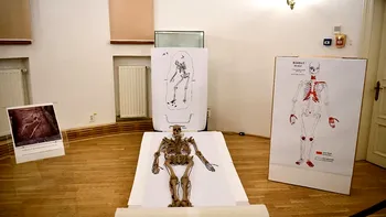 Descoperire arheologică unică în Dolj: obiecte din epoca geto-dacică, expuse la Muzeul Olteniei
