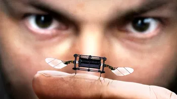 Insecte-roboți pentru polenizare: viitorul agriculturii durabile VIDEO
