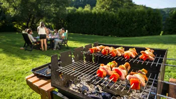 Grătarele în aer liber, interzise pentru românii care locuiesc în această zonă a Germaniei. Erau un festin pentru cei care duc dorul României