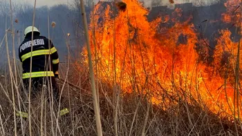 Incendii puternice de vegetație în România. Armata, mobilizată de urgență