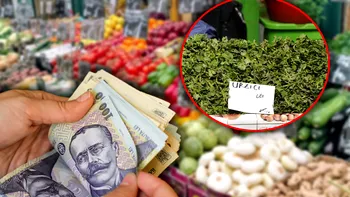 Mâncarea săracului nu mai e săracului. Cât a ajuns să coste un kilogram de urzici, la piață