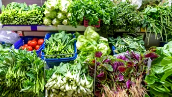 Planta iubită de toţi românii pe care nu ai voie să o culegi în Germania. Deja s-au dat amenzi