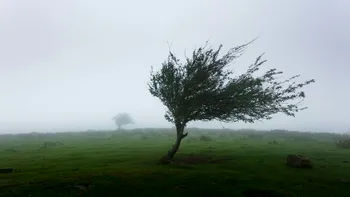 Vremea schimbă foaia, la final de weekend. ANM, avertizare de ultim moment, ce zone din România sunt vizate