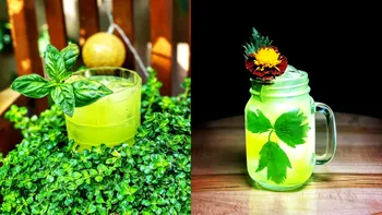 Cum faci un cocktail cu gin și busuioc incredibil de popular sau îl adaptezi cu arome românești, folosind leuștean - Gin Basil Smash cu Le Tribute