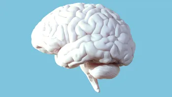 Declinul inteligenței umane: Un fenomen îngrijorător care ia extindere