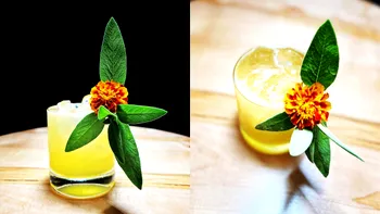 Cum faci un cocktail de tip gin sour, dar cu soc, perfect pentru a intra în spiritul primăverii. Așa descoperi Suze și Liquore Strega