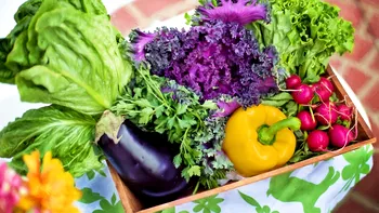 Leguma românească de mare succes în străinătate. Se cultivă într-un singur loc şi este cerută peste tot, agricultorii nu fac faţă