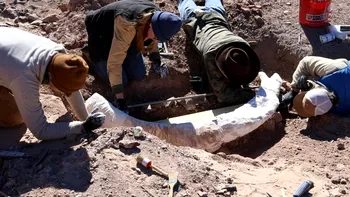 Un bărbat a plecat la vânătoare și s-a împiedicat de un ciot care poate schimba istoria în paleontologie
