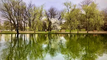 Parcul fără flori din Bucureşti, o dezamăgire pentru locuitori. Era unul dintre cele mai frumoase din Capitală