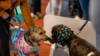 PetExpo/