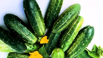 Primele legume românești, la un preț corect pentru clienți. Unde găsești alternativa rezonabilă la tarifele fabuloase din piețe