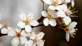 Vreme ciudată şi în aprilie, anunţă ANM. Prognoza meteo pentru următoarea lună