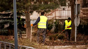 Ce munci se prestează în România în regim de muncă în folosul comunității. Cine poate primi această sentință