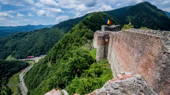 Cetatea Poenari a fost închisă temporar, după ce un urs a forțat gardul electric și a ajuns în zona destinată vizitatorilor