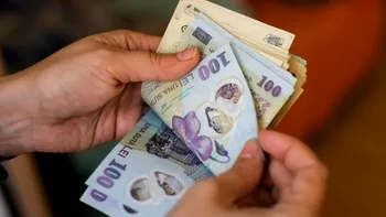 Dog Walking Business: Cum să transformi iubirea pentru câini într-o afacere profitabilă cu un buget de 1.000-3.000 euro