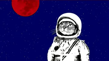Trei animale despre care nu știai că au ajuns în spațiul cosmic, iar unul poate încă trăiește acolo sus, printre stele