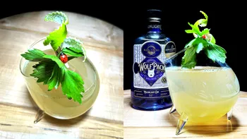 Cum faci un gin & tonic românesc cu leuștean și Wolfpack de la Măgura Zamfirei, cel mai bun gin din lume care își schimbă culoarea