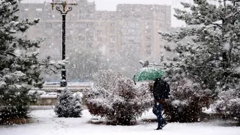 Revin ninsorile în România. ANM a emis cod galben și portocaliu de viscol și vânt puternic. Județele afectate