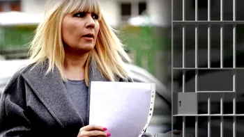 Victorie pentru Elena Udrea. Cu cât i-a fost redusă pedeapsa, decizia instanței nu este definitivă