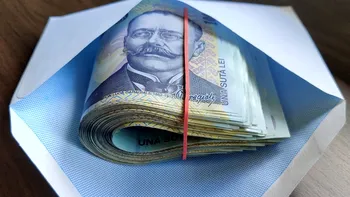Afacerile care duduie în România, chiar dacă e criză! Profituri în creștere pentru firmele din IT, publicitate și comerț online