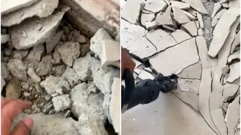 Ce a găsit un român în podeaua casei abia cumpărate l-a dezamăgit profund. Locuinţa, la marginea unui mare oraş din ţară: 