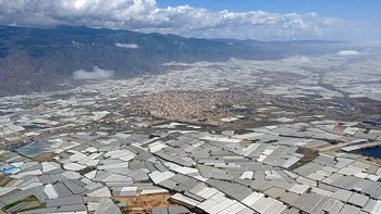 Nu Marele Zid sau piramidele, ci o „mare” de legume: singura construcție umană vizibilă din spațiu