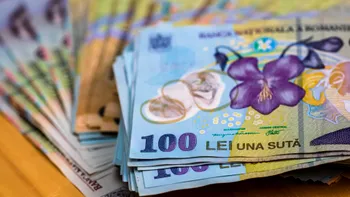 Firmele românești au nevoie de bani: patronii cer statului sa cheltuie mai puțin și să deschidă robinetul cu fonduri pentru IMM-uri