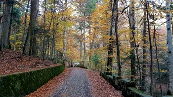 Locul magic la două ore de București care îți taie răsuflarea. Frumusețea acestui loc e rară