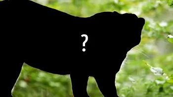 Orașul din România unde a apărut un animal extrem de rar. Mutația apare la 1 din 10.000 de nașteri. Oamenii, chemați să îl admire: „Intrarea este gratuită”
