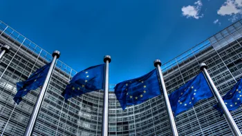 Site-urile populare cu conținut pentru adulți, investigate de Comisia Europeană. Accesul minorilor, pe lista de reproșuri