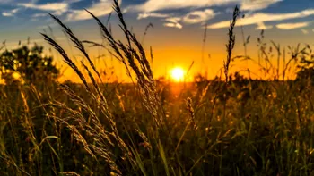 Vară cum nu a mai fost în România. Meteorologii vorbesc de cele mai scăzute temperaturi din ultimii ani