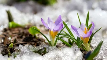 Când vine primăvara în România: temperaturile cresc treptat, anunţă meteorologii
