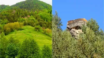 Al doilea sfinx al României, un colos necunoscut din Munții Buzăului. Locul are o energie aparte, spun turiştii