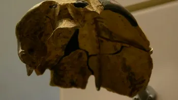 Craniul care nu se potrivește cu nicio specie umană: misterul Maba 1