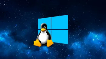 Cum să aduci un manager de pachete Linux pe Windows, dacă ești fan. Trucuri pentru o viață mai ușoară